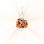 Authentic Silver Capping 4 Mukhi Rudraksha Pendant With Chain