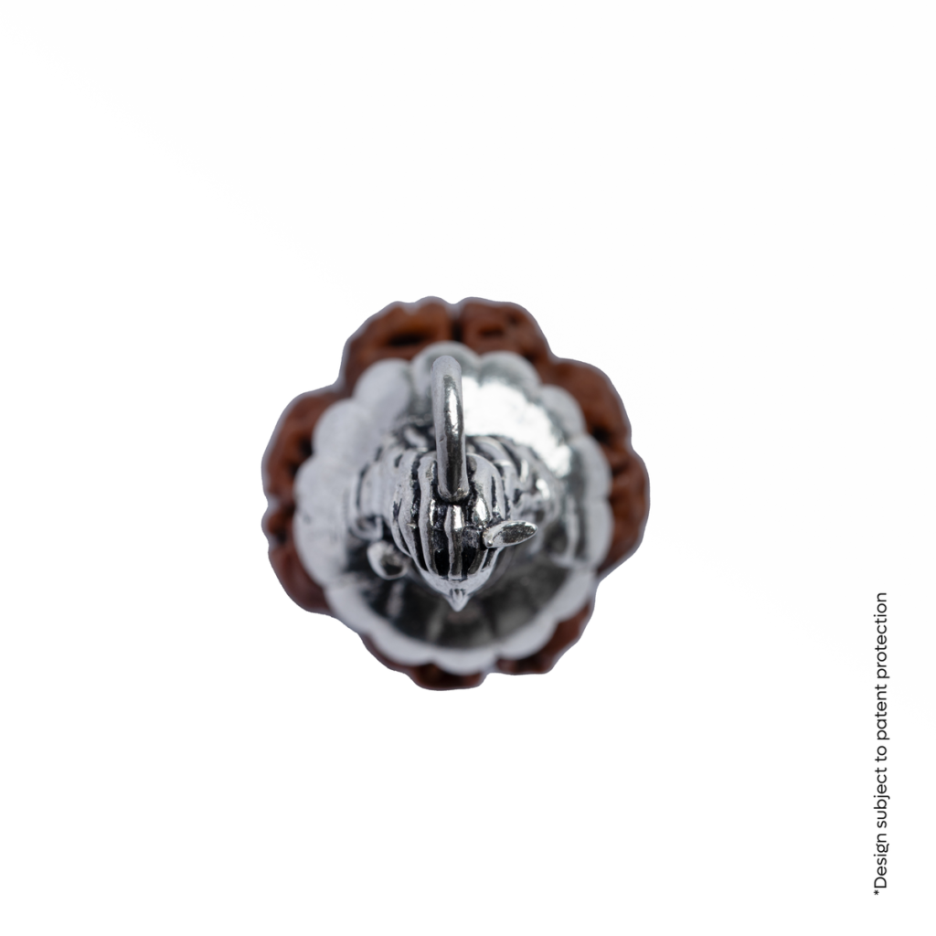 Orignal Adiyogi Pendant (4 Mukhi Nepali Rudraksha) With Chain