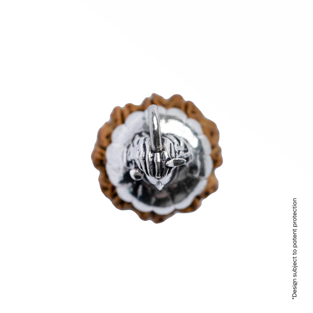 Adiyogi Pendant (8 Mukhi Nepali  Rudraksha)