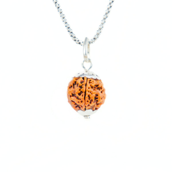 5 Mukhi Rudraksha Silver Capping Pendant ( Nepali )
