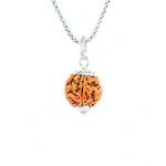 Silver Capping 5 Mukhi Rudraksha Pendant With Chain