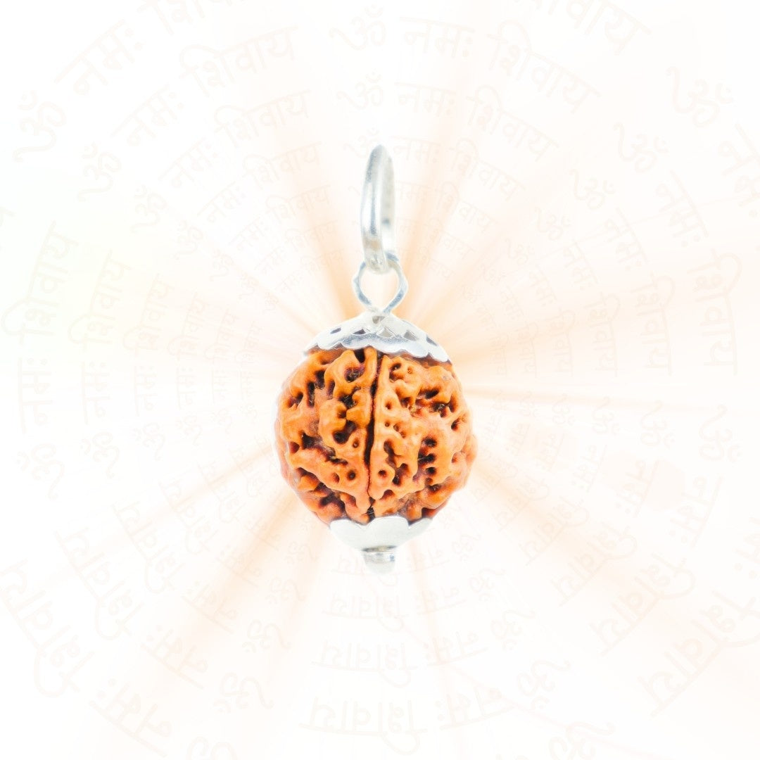 5 Mukhi Rudraksha Silver Capping Pendant ( Nepali )