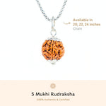Orignal Silver Capping 5 Mukhi Rudraksha Pendant With Chain