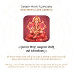 Ganesh 5 Mukhi Rudraksha Story