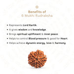 Benefits of 6 Mukhi Rudraksha