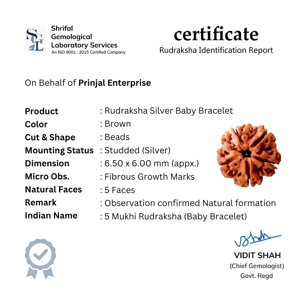 Rudraksha Silver Bracelet Single Line for Kids