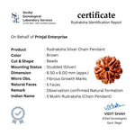Rudraksha Silver with Trishul and Damru Chain with Pendant for Men