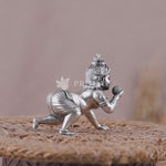 Laddu Gopal Silver Idol